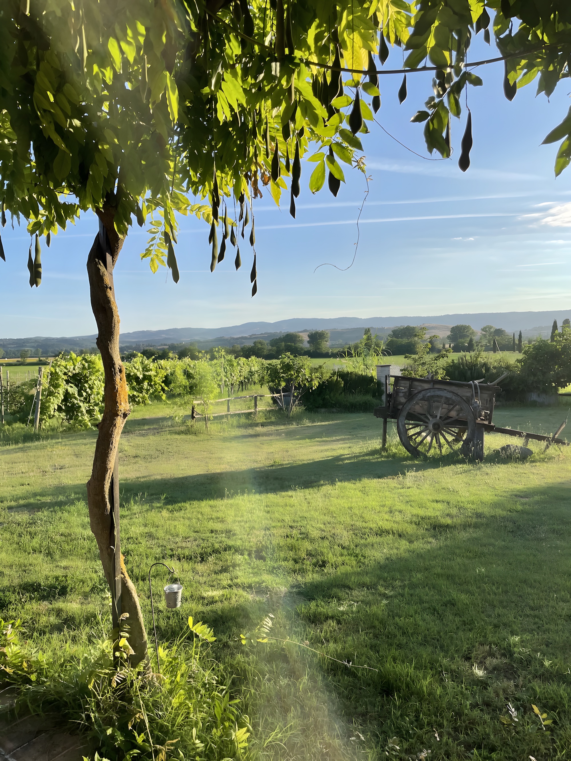 Autunno · orto biologico