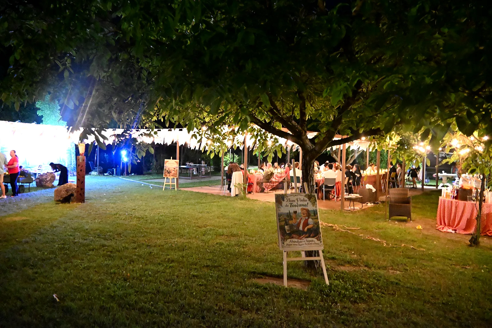 Allestimento di un ricevimento al Borgo Santa Maria — Il grande albero illuminato, a sera