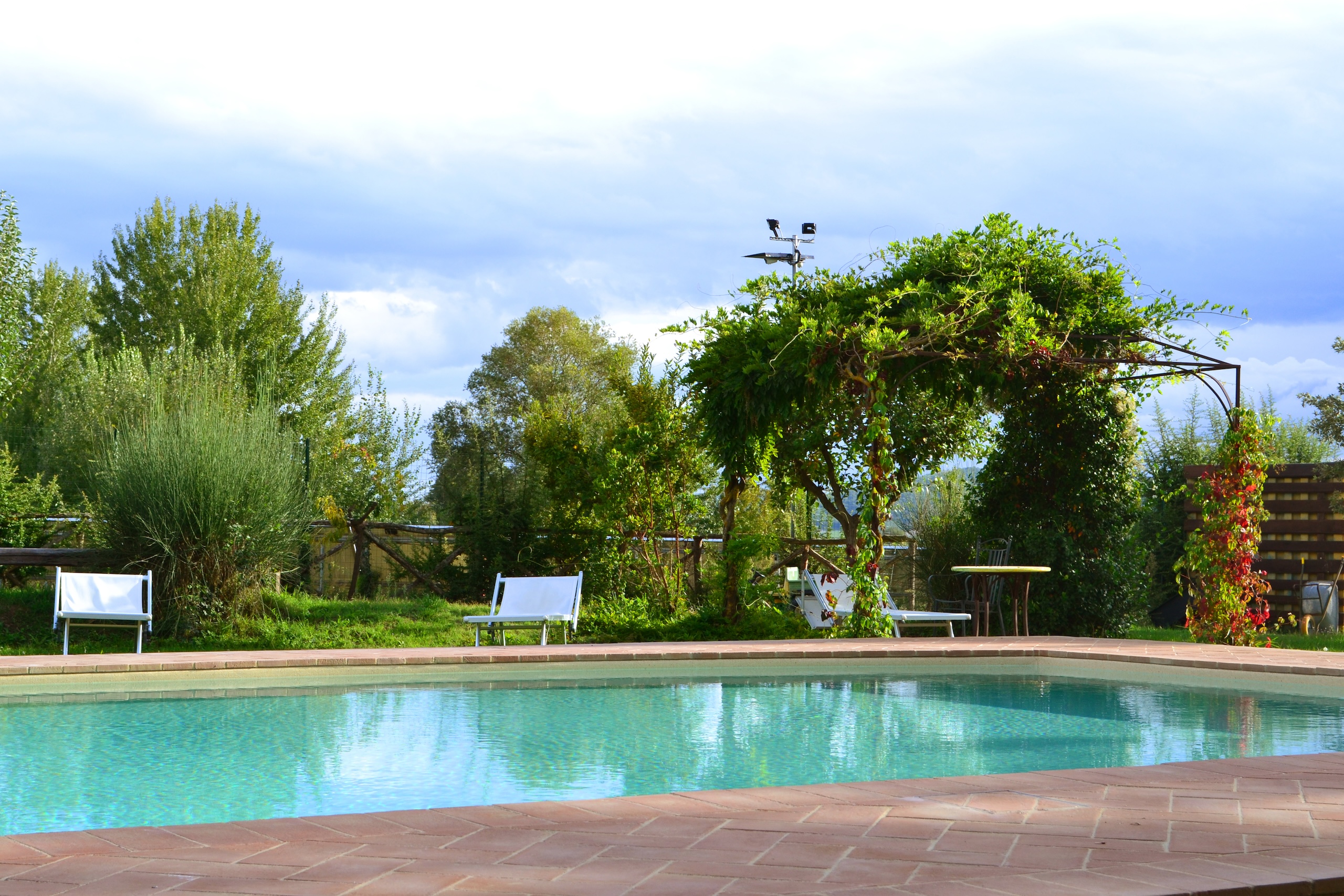 Il borgo immerso negli ulivi