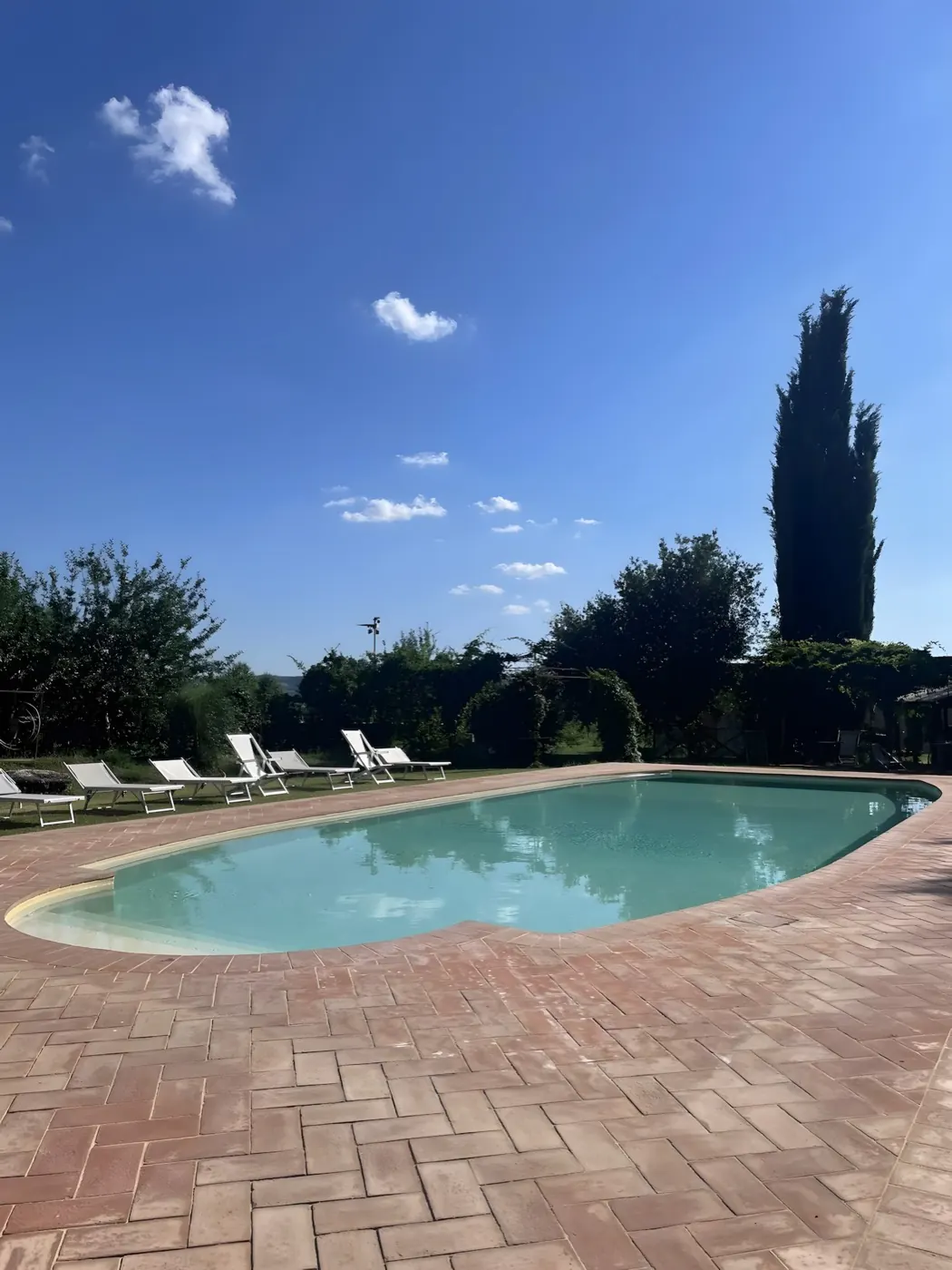 Piscina vista cipressi